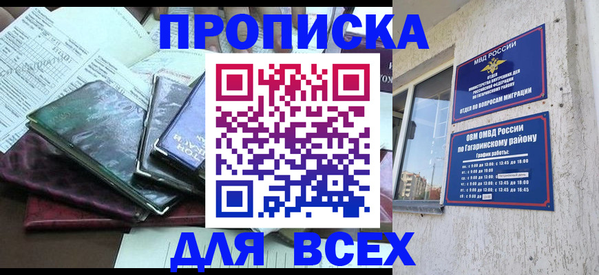 прописка поиск в Павловске